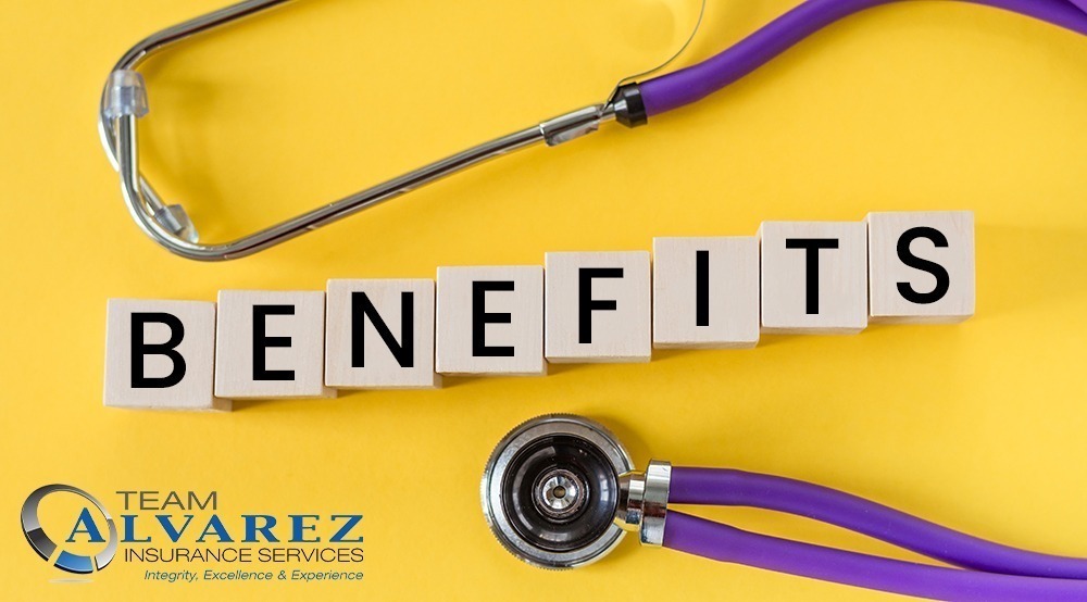 What benefits do Fraternal life insurance plans offer? - Medicare Insurance